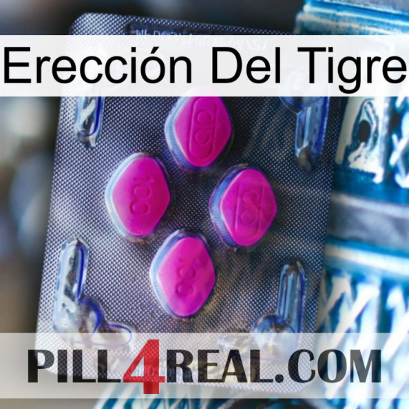 Erección Del Tigre 02.jpg